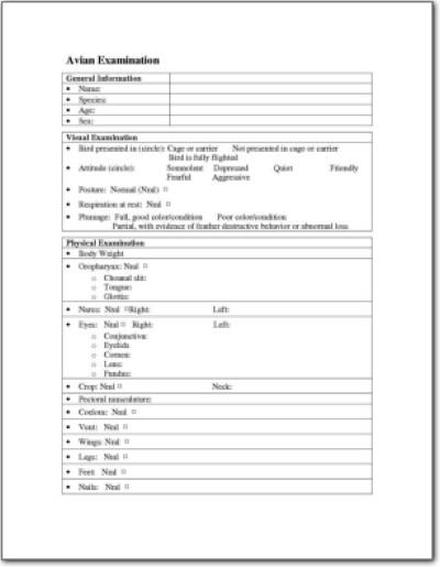 Avian Physical Examination Form 1 | LafeberVet