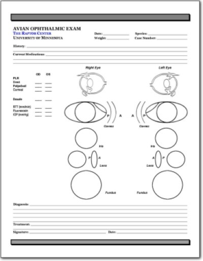 avian-eye-exam-form-2-lafebervet