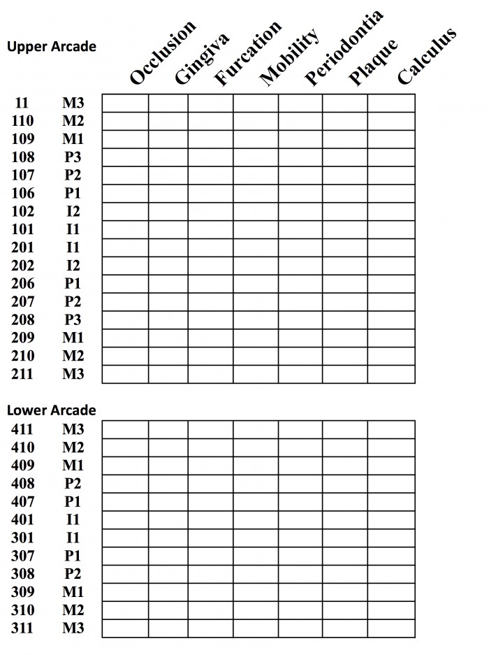 Rabbit Score Chart