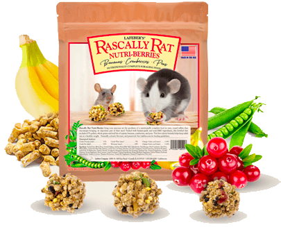 image of 2.5 lb bag of Rascally Rat Nutri-Berries with bananas, peas, cranberries, and some Nutri-Berries scattered around it