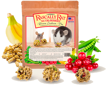 bag of Rascally Rat Nutri-Berries