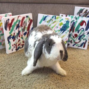 rabbit sitting in front of paintings
