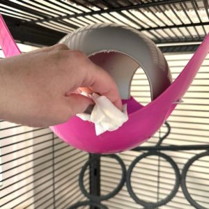 Plastic deals rat hammock