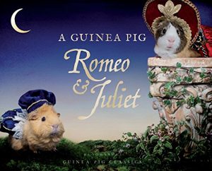 cover of the book "A Guinea Pig Romeo & Juliet"