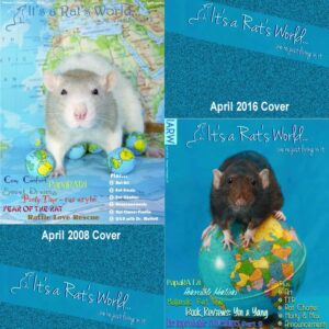 covers from the April 2008 and April 2016 It's A Rat's World magazine