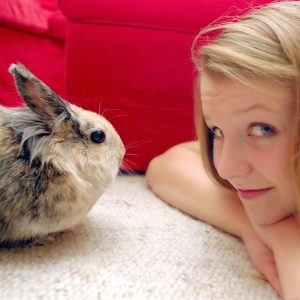 rabbits playing with toys