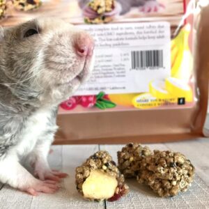 rat standing by a Rascally Rat Nutri-Berrie
