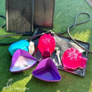 Day One And Beyond With Your Pet Rats – Lafeber Co. – Small Mammals