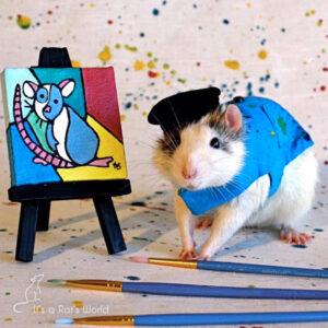 A Few Of My Favorite Rat Photos – Lafeber Co. – Small Mammals