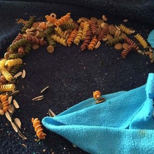 piles of pasta noodles beside a blanket in cage