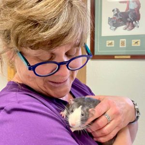 rat held by veterinarian