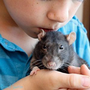 child holding rat in hand