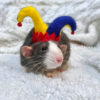 rat posed on a towel and wearing a jester hat