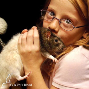 girl being passed a rat to hold