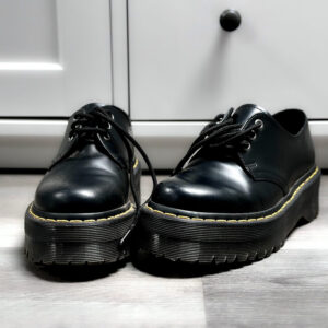 What To Do If Your Rat Escapes Their Cage – Lafeber Co. – Small Mammals