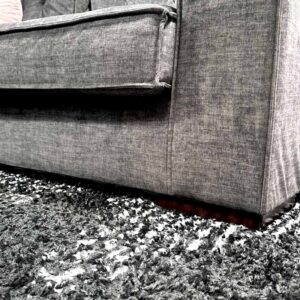 What To Do If Your Rat Escapes Their Cage – Lafeber Co. – Small Mammals