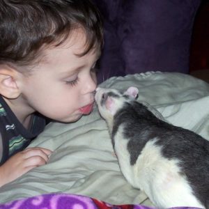 toddler nose to nose with rat on couch or bed