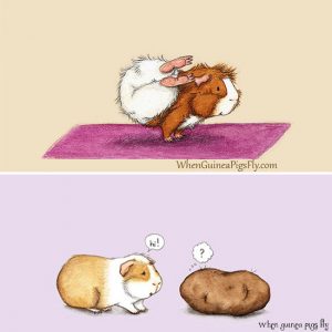two drawings of guinea pigs