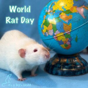 white rat standing beside small globe of the Earth