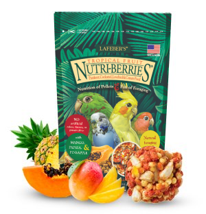 Small Bird Tropical Fruit Nutri-Berries Stylized Image