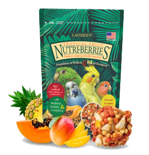 Small Birds Tropical Fruit Pellets