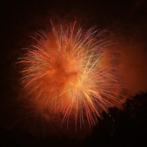 orange fireworks exploding in night sky