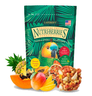 Parrot Tropical Fruit Nutri-Berries 10oz Bag Stylized