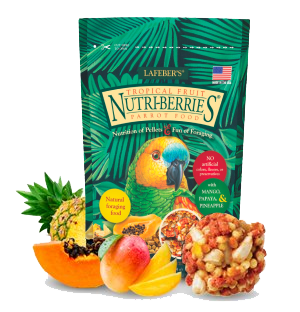 Parrot Tropical Fruit Nutri-Berries 10oz Bag Stylized