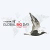 logo for Cornell Global Big Day