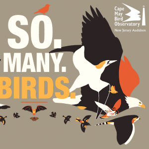 new jersey Audubon event poster