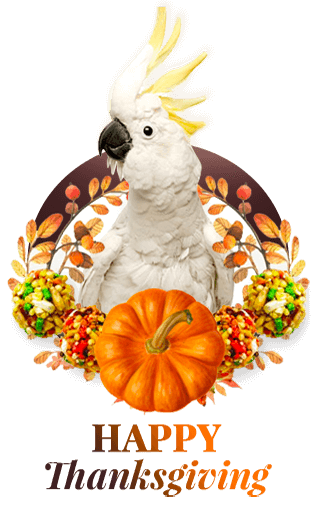 Happy Thanksgiving from Lafeber!