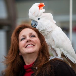 cockatoo on woman's shoulder