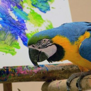 macaw parrot on perch by painting it made