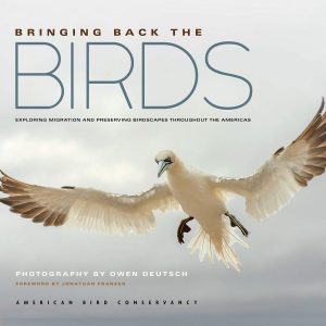 cover of book Bringing Back The Birds