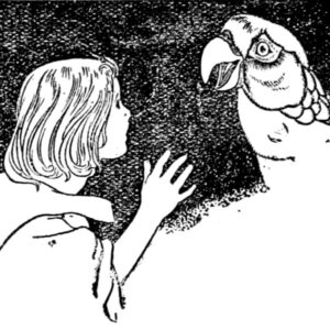 black and white illustration showing Alice from Alice In Wonderland talking to a lory
