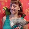 Dr. Stephanie Lamb with Amazon and African grey