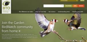 British Trust for Ornithology homepage