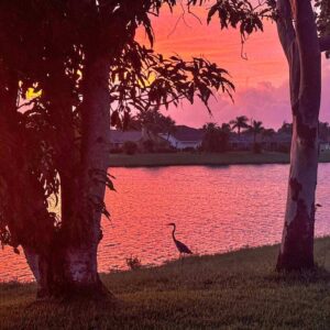 crane standing beside lake at sunset