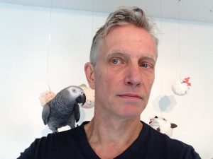 African grey parrot on man's shoulder