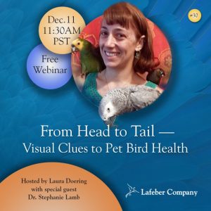 webinar 30 slide promotes Dr. Stephanie Lamb discussing pet bird health