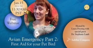 webinar 32 slide promotes Dr. Stephanie Lamb discussing first aid for pet birds part 2