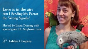 webinar slide promotes Dr. Stephanie Lamb discussing sending parrot wrong signals