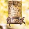 wild birds at feeder