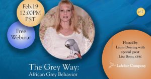 webinar 37 slide promotes Lisa Bono discussing African grey behavior