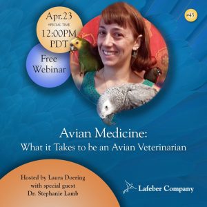 webinar 45 slide promotes Dr. Stephanie Lamb discussing what it takes to be avian vet