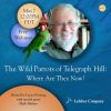 webinar 47 slide promotes update on wild parrots of Telegraph Hill