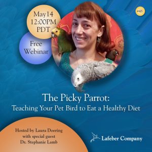 webinar 48 slide promotes Dr. Stephanie Lamb discussing parrots that are picky eaters