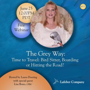 webinar 53 slide promotes Lisa Bono discussing bird sitting, boarding, and travel