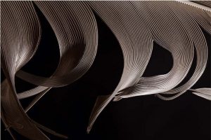 extreme close up view of a vulture feather