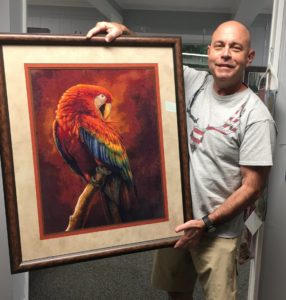 scarlet macaw art